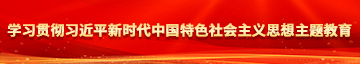 骚妇野外草逼视频学习贯彻习近平新时代中国特色社会主义思想主题教育